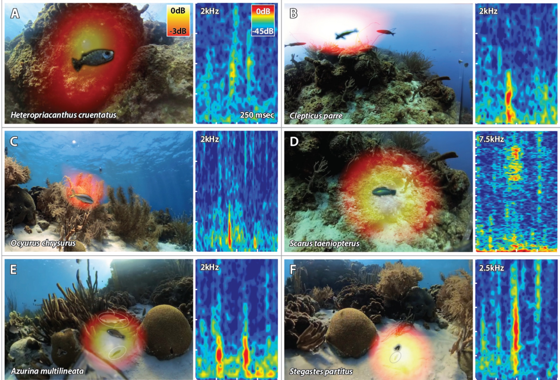 Report from the Acoustical Society meeting New Orleans - Ocean Noise